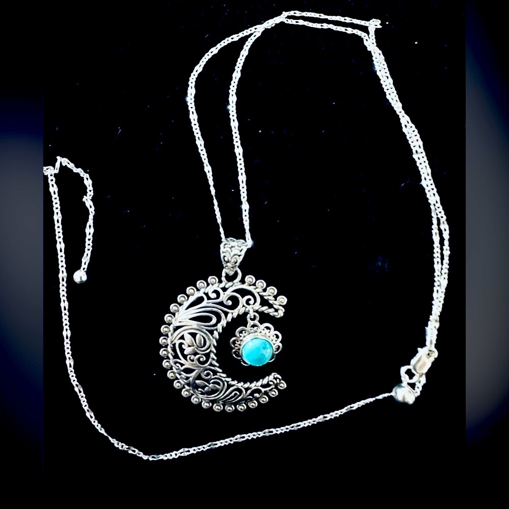 Genuine Blue Ridge Turquoise Crescent Moon SS Pendant on SS Chain Necklace NWT
